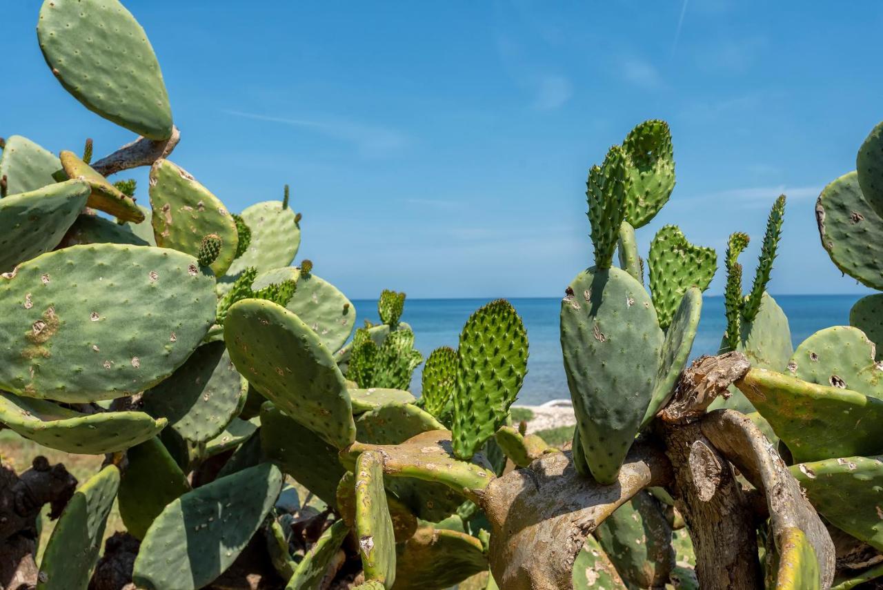 Sardinia Re - Villino Maja Villa Stintino Kültér fotó